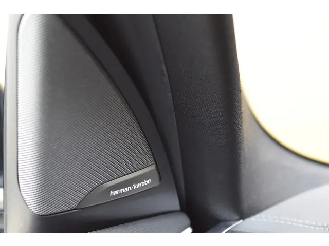 BMW iX3 High Executive 80 kWh 2021 Elektrisch 30