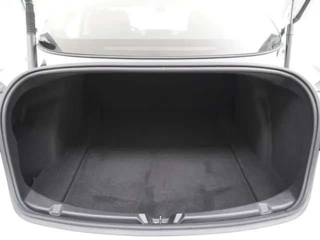Tesla Model 3 Standard RWD Plus 60 kWh 2021 Elektrisch 12