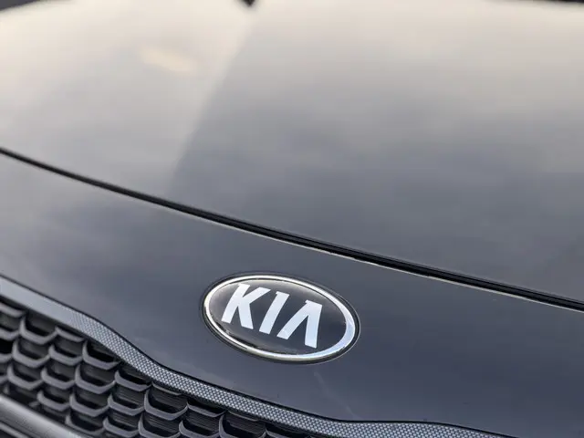 Kia Rio 1.2 CVVT DynamicLine 2015 Benzine 12