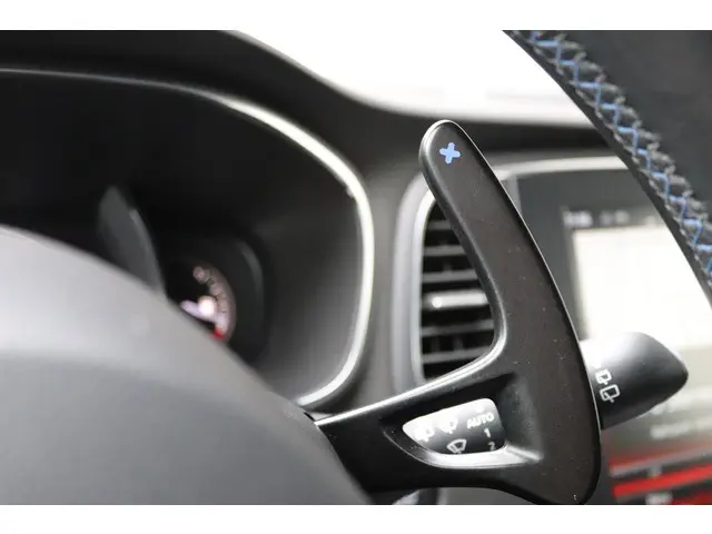 Renault Mégane Estate 1.6 TCe 205 GT 2018 Benzine 30