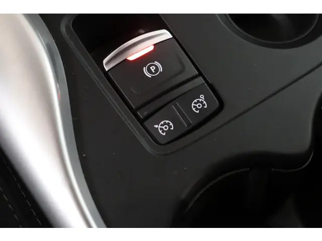 Renault Kadjar 1.3 TCe Intens 2019 Benzine 24