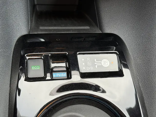Nissan Leaf e+ Tekna 62 kWh 2019 Elektrisch 28