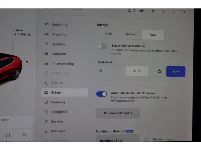 Tesla Model 3 Long Range AWD 75 kWh 2019 Elektrisch 35