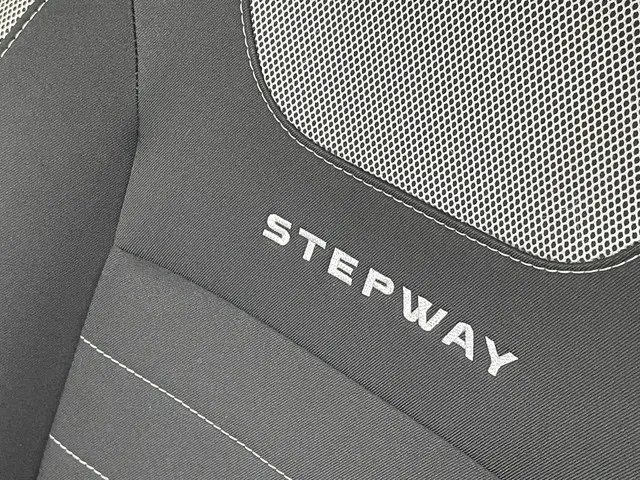 Dacia Sandero Stepway 0.9 TCe 2019 Benzine 20