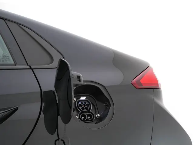 Hyundai IONIQ Comfort EV 2019 Elektrisch 28