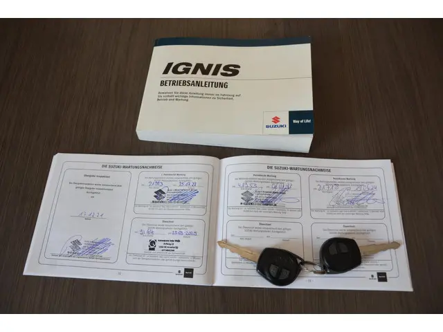 Suzuki Ignis 1.2 Smart Hybrid, airco 2021 Hybride Benzine 27