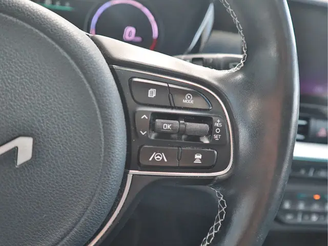 Kia e-Niro DynamicPlusLine 64 kWh 2021 Elektrisch 16