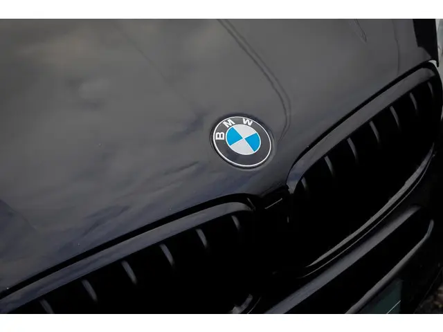BMW X5 xDrive25d High Executive 2019 Diesel 44