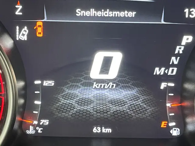 Dodge Charger SRT Scatpack Swinger WB 2024 Benzine 31