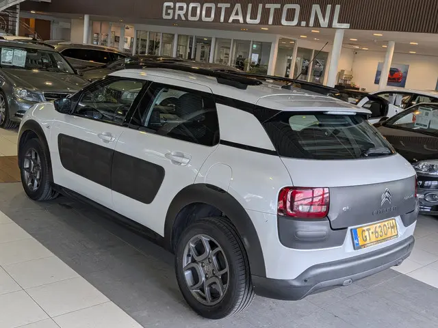 Citroën C4 Cactus 1.2 PureTech Business 2015 Benzine 3