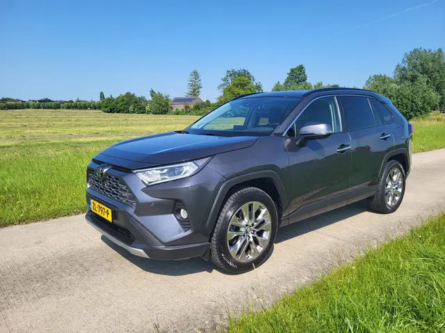 Toyota RAV4 2.0 VVT-iE Executive 2019 Benzine 4