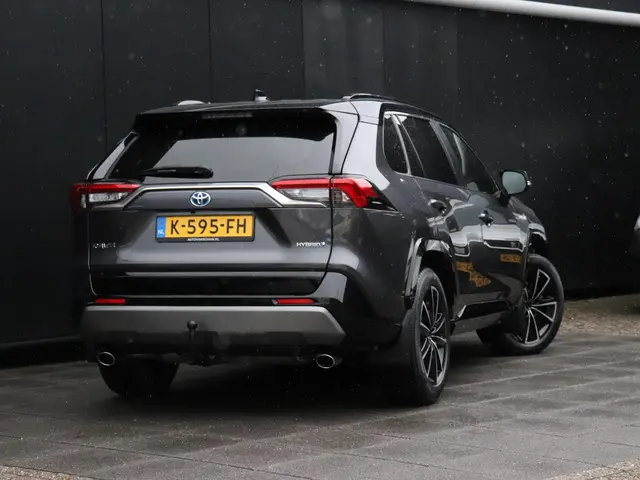 Toyota RAV4 2.5 Hybrid Bi-Tone 2020 Hybride Benzine