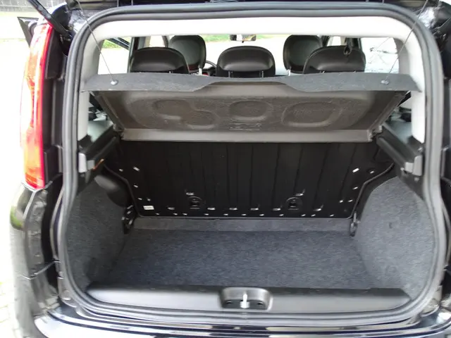 Fiat Panda 1.2 Popstar, 4 cilinder, NL auto 2016 Benzine 15