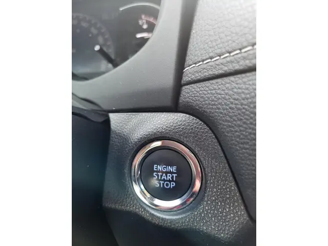 Toyota RAV4 2.0 VVT-iE Executive 2019 Benzine 30