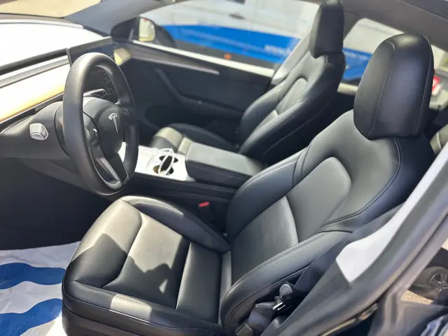 Tesla Model Y Performance AWD 75 kWh 2022 Elektrisch 11