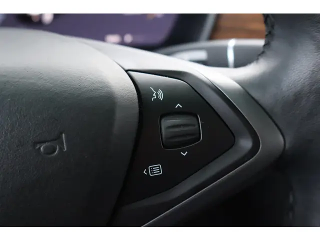 Tesla Model X 100D 6p. 2018 Elektrisch 27