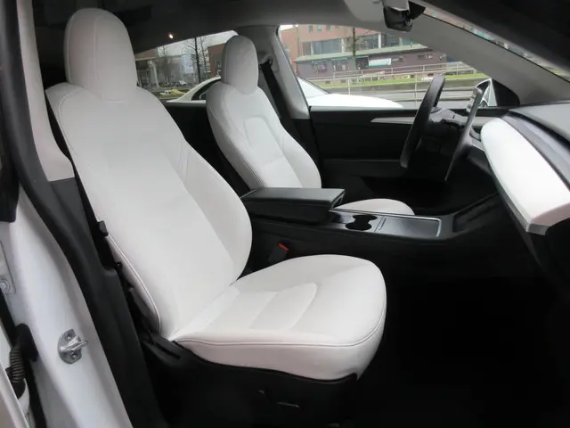 Tesla Model Y Long Range AWD 75 kWh 2021 Elektrisch 11