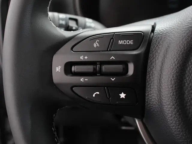 Kia Picanto 1.0 DPI Automaat DynamicLine 2025 Benzine 15