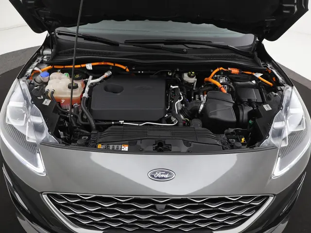 Ford Kuga 2.5 PHEV 225PK Vignale 2021 Hybride Benzine 34