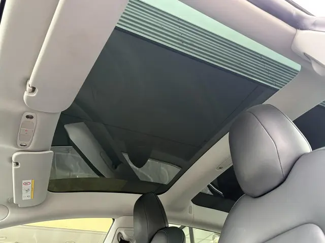 Tesla Model 3 Standard RWD Plus 60 kWh 2020 Elektrisch 21