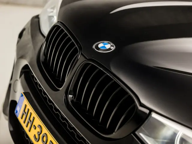 BMW X4 xDrive20i M Sport High Executive 2015 Benzine 34