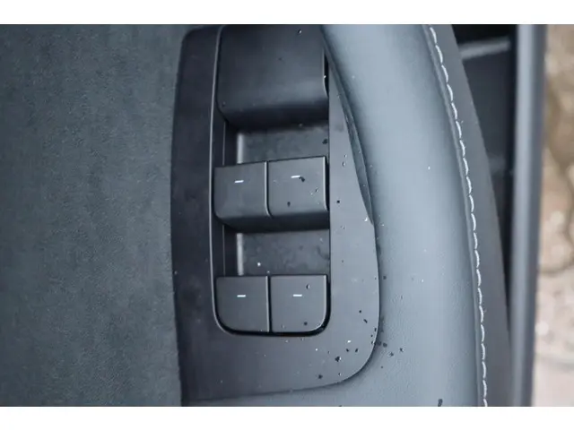 Tesla Model 3 Long Range AWD 75 kWh 2021 Elektrisch 23