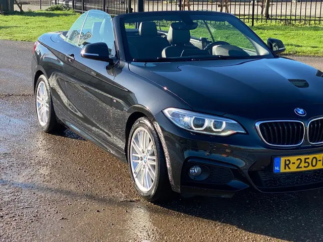 BMW 2 Serie Cabrio 220i M Sport 2016 Benzine 22