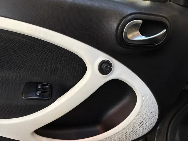 Smart Forfour 1.0 Prime 2015 Benzine 15