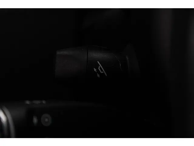 Tesla Model S 100D 2017 Elektrisch 13