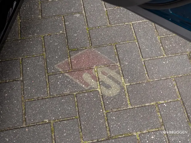 Audi Q8 60 TFSI E Quattro S-Line 2021 Hybride Benzine 39