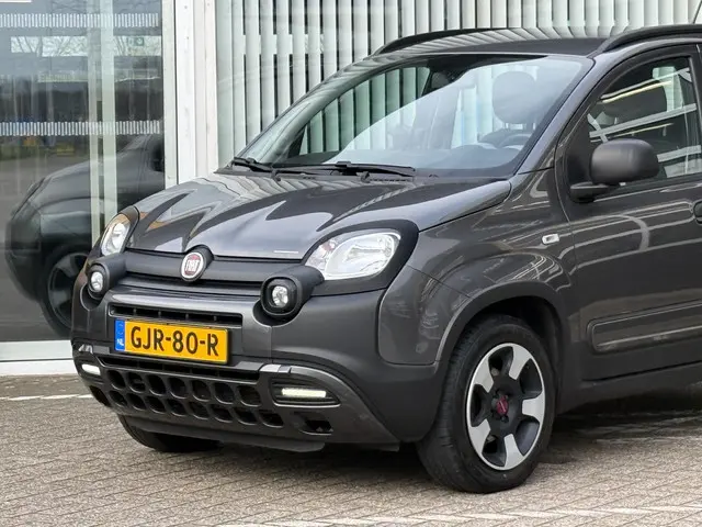 Fiat Panda 1.2 City Cross 2019 Benzine 6