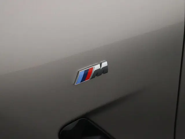 BMW iX3 Executive 80 kWh 2022 Elektrisch 31