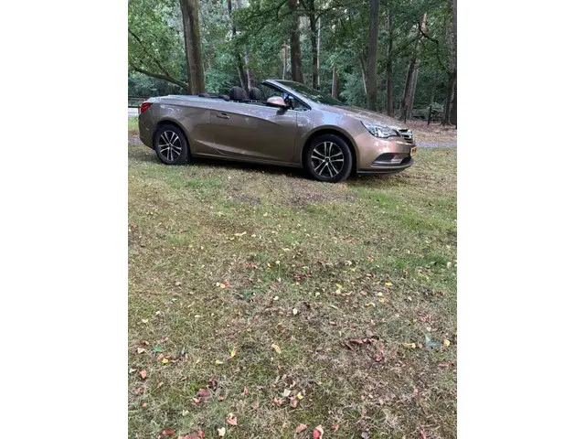 Opel Cascada 1.4 Turbo Nette auto 2014 Benzine 8
