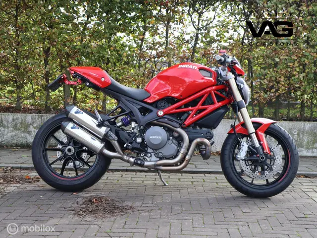 Ducati Monster 1100 EVO 2013 Benzine