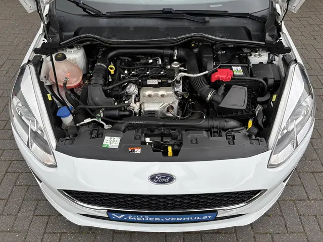 Ford Fiesta HELAAS VERKOCHT!!! 2017 Benzine 23