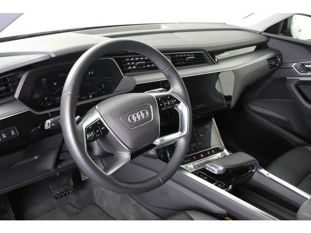 Audi e-tron 55 Quattro Advanced 2019 Elektrisch 9