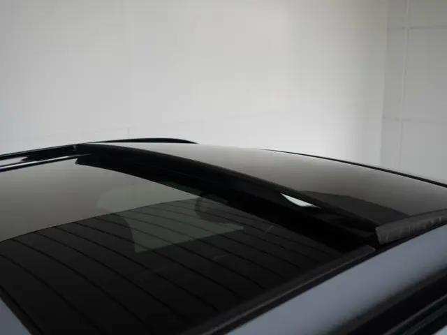 BMW X4 xDrive20i 2025 Benzine 19