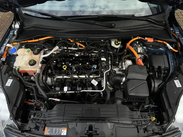 Ford Kuga 2.5 PHEV Titanium X 2021 Hybride Benzine 32