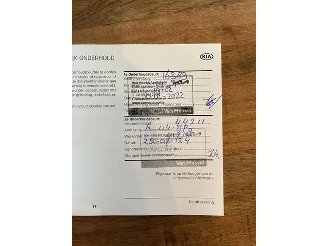 Kia e-Niro ExecutiveLine 64 kWh 2020 Elektrisch 45