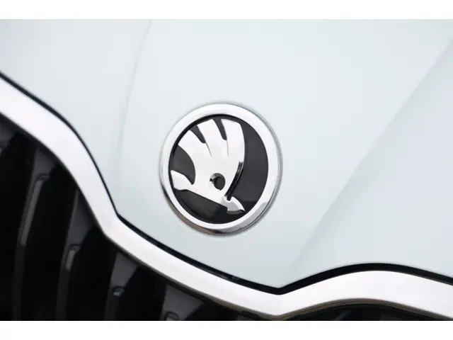 Škoda Fabia 1.0 TSI 95PK Active 5-drs 2019 Benzine 8