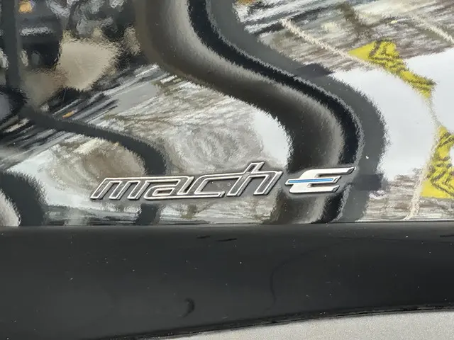 Ford Mustang Mach-E RWD 75 kWh 2021 Elektrisch 37