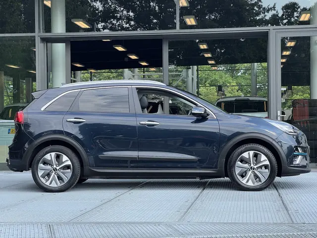 Kia e-Niro DynamicPlusLine 64 kWh 2021 Elektrisch 19