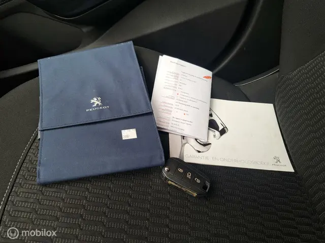 Peugeot 208 1.5 BlueHDi Blue Lease NAVI/TRKHK 2019 Diesel 20