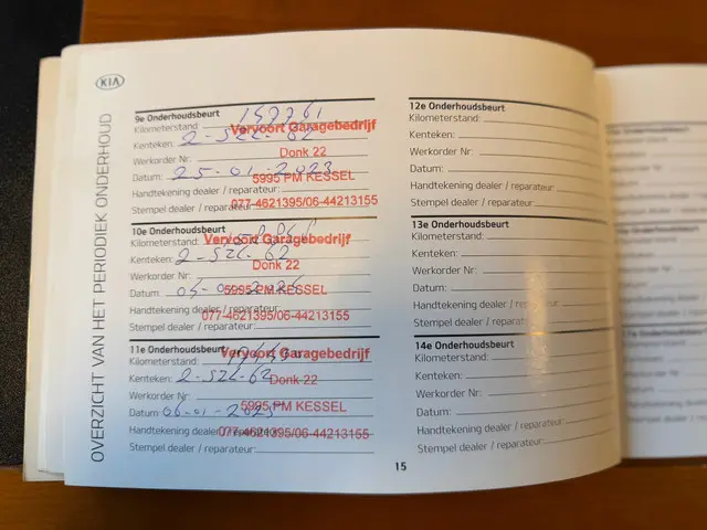 Kia Rio 1.2 CVVT |Plus Pack| |Airco| |Org.NL| 2014 Benzine 19