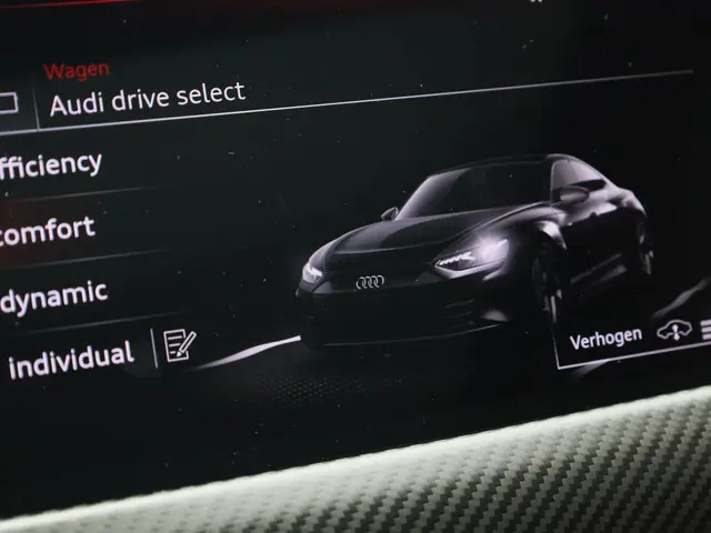 Audi e-tron GT RS 93 kWh 440kW/598pk 2023 Elektrisch 9