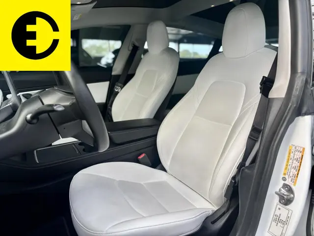 Tesla Model 3 Standard RWD Plus 60 kWh 2021 Elektrisch 6