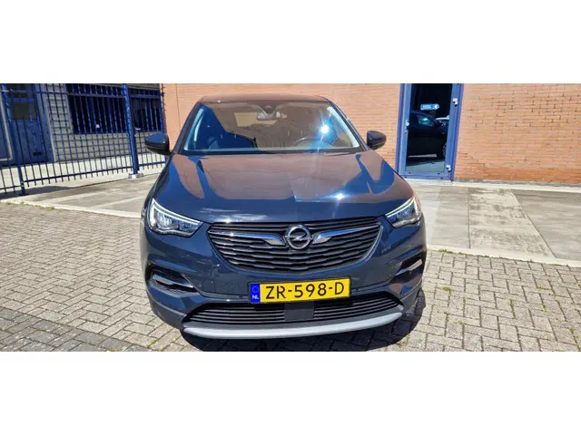 Opel Grandland X 1.2 Turbo Bus. Ex. 2019 Benzine 8