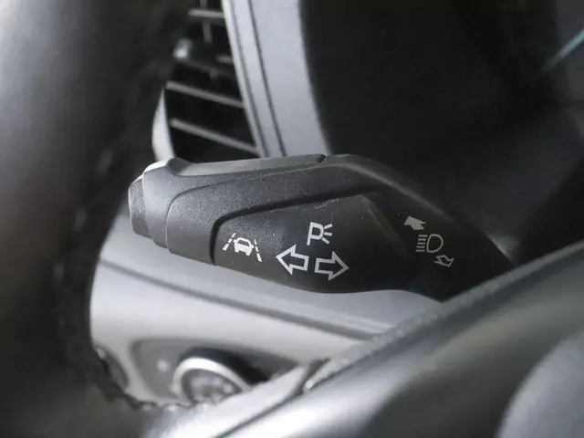 Ford Transit 290 2.0 TDCI L2H2 Trend 2024 Diesel 18