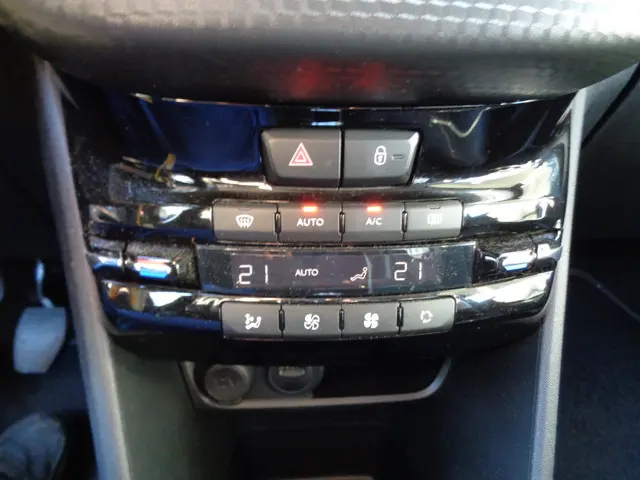 Peugeot 2008 1.2 PureTech GT-Line 2019 Benzine 10