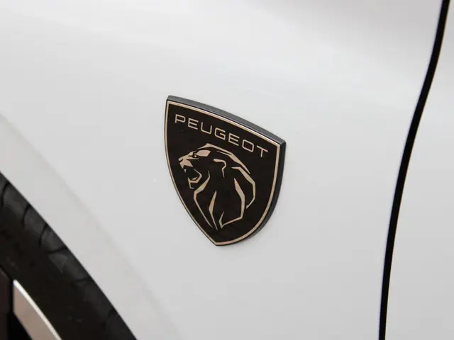 Peugeot 308 SW HYBRID 145 GT 2025 Hybride Benzine 38